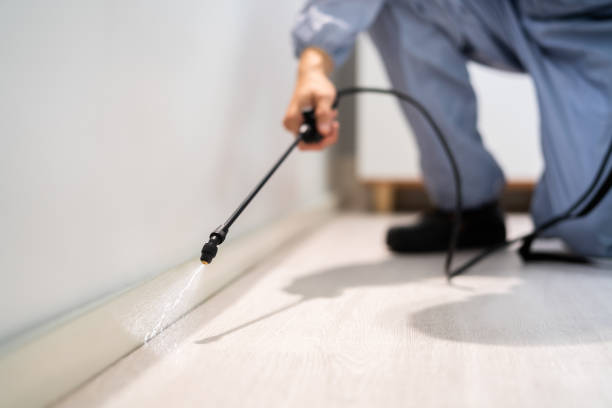 Bed Bug Pre-Treatment Preparation Assessment in Homosassa