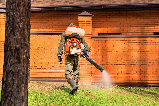 Bed Bug Clearance Verification and Documentation in Homosassa